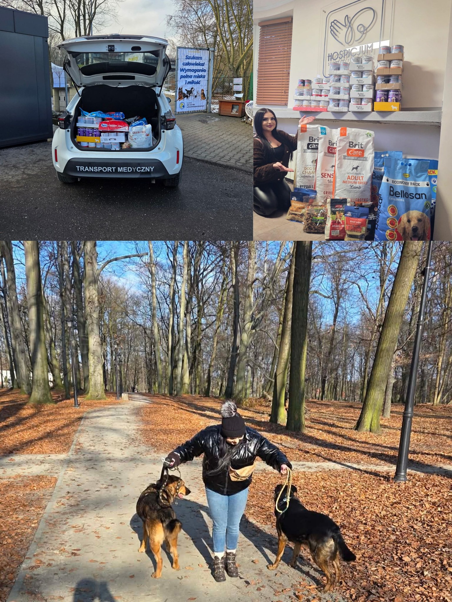 Zbiórka na rzecz schroniska w Bytomiu